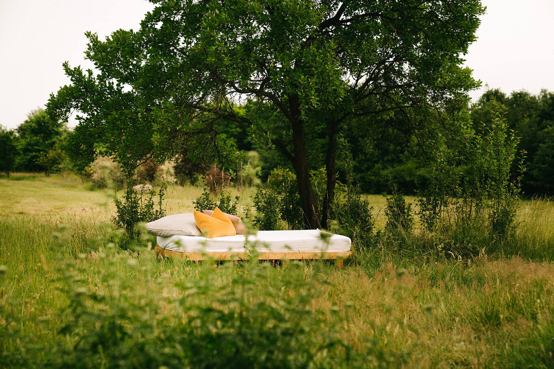 Daybed mit weißen Bezug und gelbem Kissen inmitten eines saftigen grünen Gartens