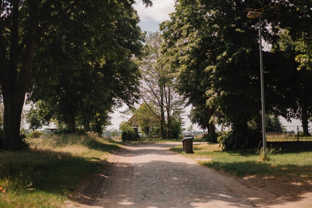 Kopfsteinpflasterstraße mit Bäumen umsäumt