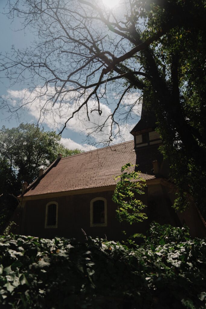Das Dach einer Felsensteinkirche von Bäumen umgeben