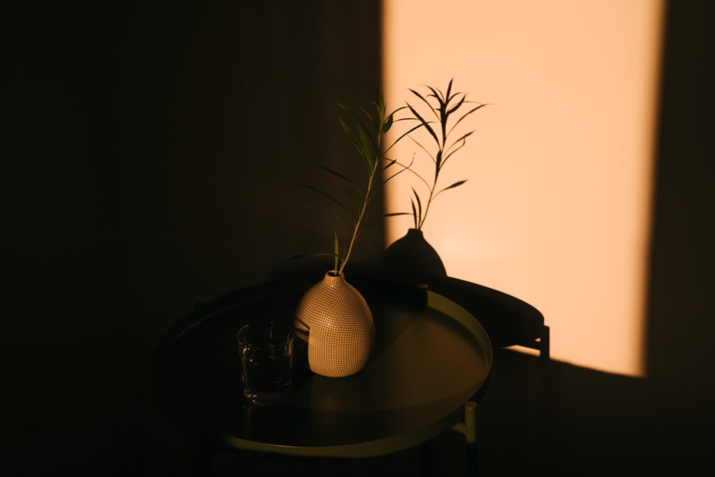 Eine kleine Vase mit Gräsern die Schatten auf eine Wand werfen
