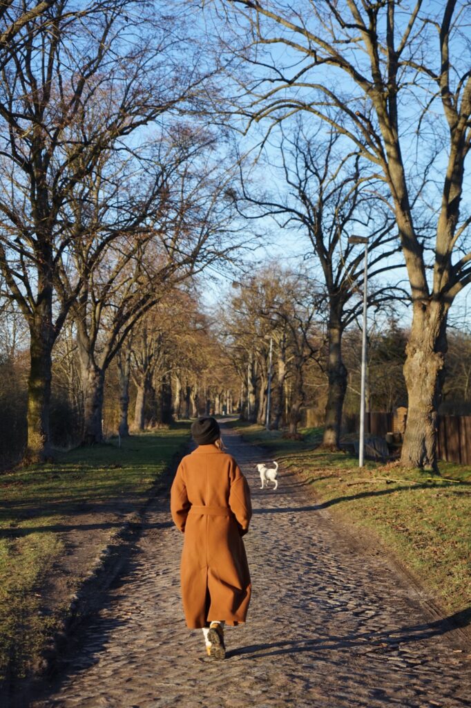 Person im braunen Mantel und Hund laufen durch eine mit Bäumen gesäumte Allee